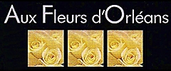 Aux Fleurs d'Orléans